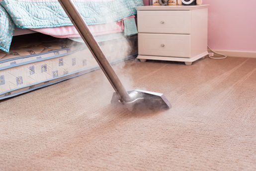 carpet cleaning service in Sonoma County CA